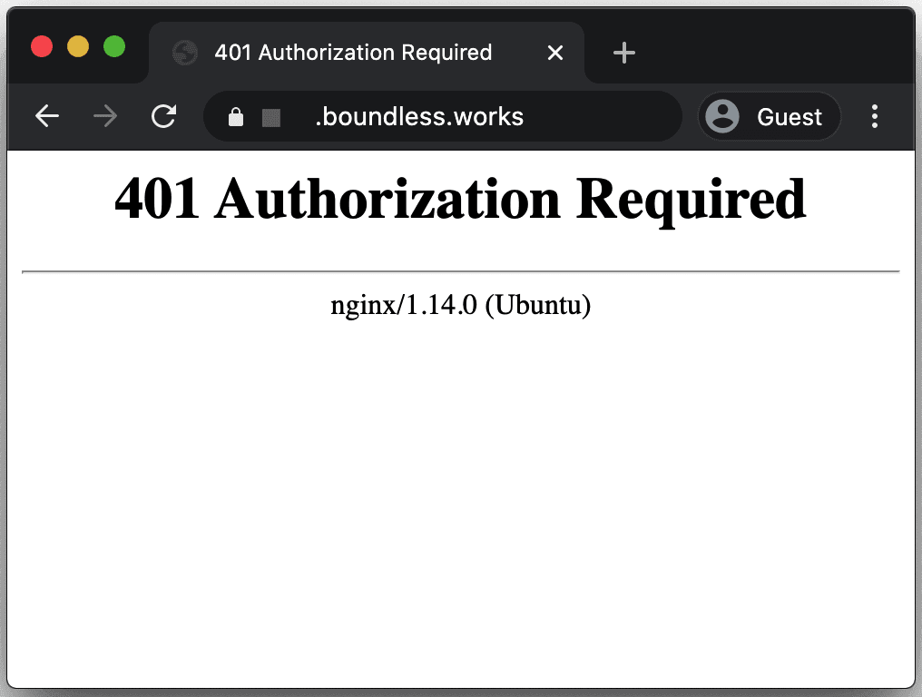 Screenshot of the page displayed when failing the basic auth popup, showing the error message "401 Authorization Required"